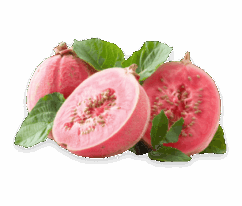 guava