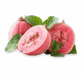 guava